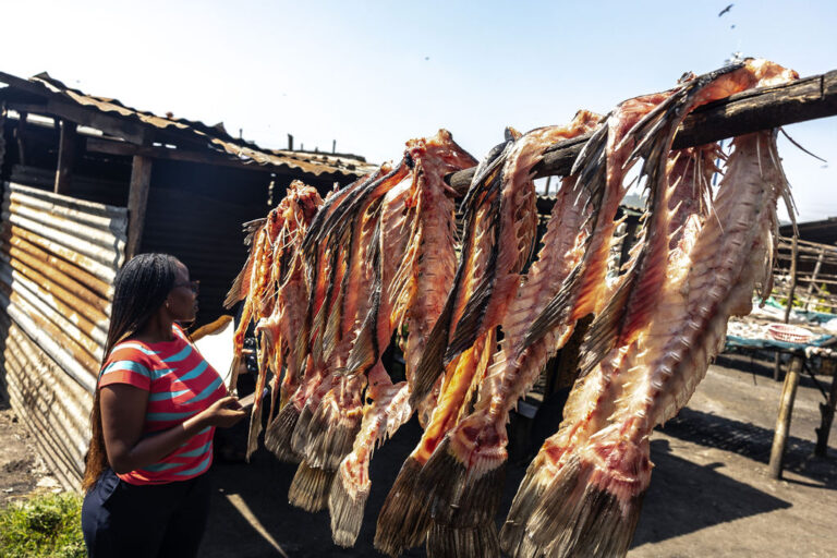 APHRC Fish Market visit 6