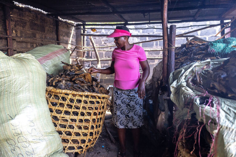 APHRC Fish Market visit 7