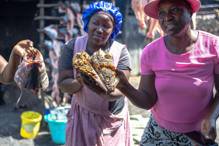 APHRC Fish Market visit 9