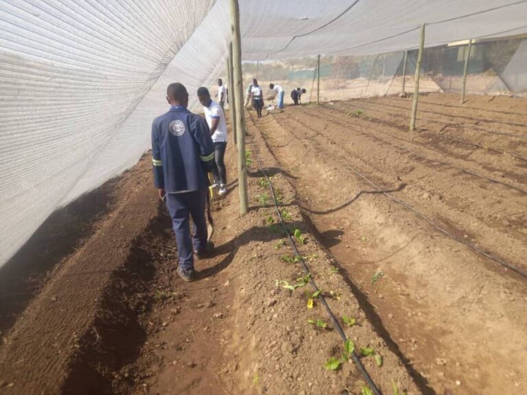 250702_Win_Urban Farm (2)
