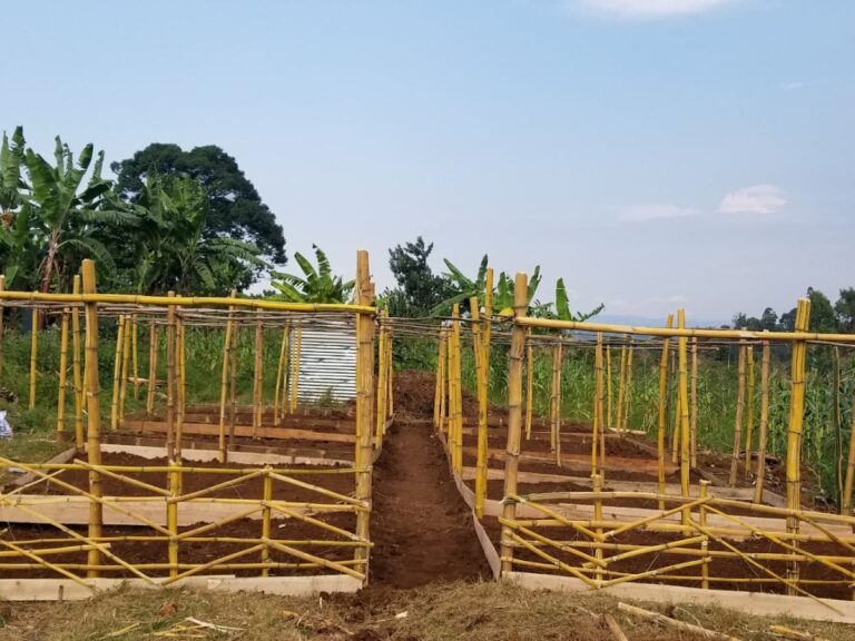 Bukavu_Circular Farming 1