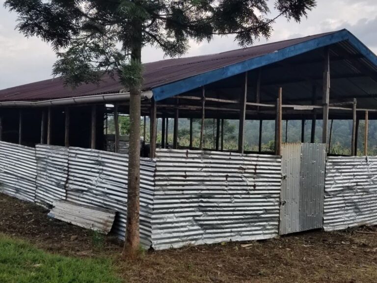 Bukavu_Circular Farming 2