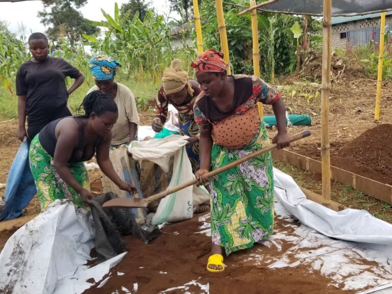 Bukavu_Circular Farming 4